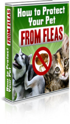 Product picture How to Protect your pets from Fleas